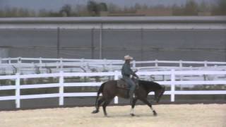 A clip from quot Teaching your horse to slow off your seat quot [upl. by Nayb]