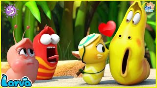 LARVA SEASON 3 EPISODE 480  583 🍟 NEST VERSION LARVA  COMICS  MINI SERIES FROM ANIMATION LARVA [upl. by Nrol]