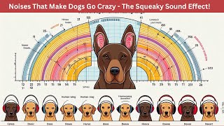 Noises That Make Dogs Go Crazy  The Squeaky Sound Effect [upl. by Greenfield466]