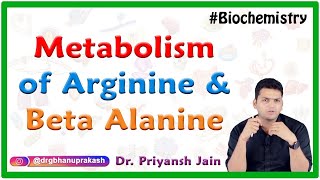 Metabolism of Arginine and Beta Alanine  Medical biochemistry [upl. by Ellemrac]