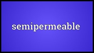 Semipermeable Meaning [upl. by Nodlehs]