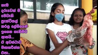 මානව ශ්වසන පද්ධතිය  Swasana Paddathiya Sinhala  Human Respiratory System in Sinhala [upl. by Htabazile568]