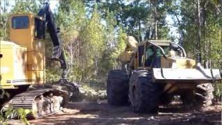 Tigercat 630C Skidder Pulling Wood [upl. by Ayoral]