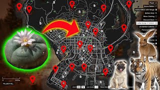 GTA 5  2024 All New Peyote Plants Location Guide Story Mode [upl. by Melisse]