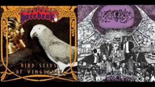 Hatebeak  Bird Seeds of Vengeance [upl. by Auliffe]