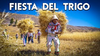 En este pueblo aún se conserva una COSTUMBRE ANCESTRAL  Fiesta de la Siega HUARIPAMA  DOCUMENTAL [upl. by Yehtomit975]