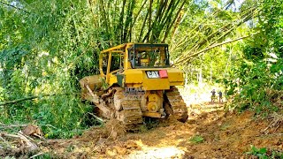 Risky Work CAT D6R XL Bulldozer Tries to Knock Down a Bamboo Tree This Is What Happens [upl. by Ahseiat424]