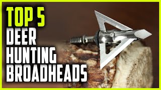 Best Broadheads for Deer Hunting  Top 5 Deer Hunting Broadheads in 2023 [upl. by Aspia]