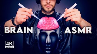 ASMR 8D Brain Tingles 🧠 Plus Ear Massage Gentle Triggers and More  Sleep Tingle Relax 4K [upl. by Kolk]