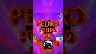 Pedro Pedro Remix Reggaeton music pedropedropedro [upl. by Byrn642]