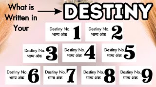 Pick Your Destiny Noभाग्य अंक☀️What is Written in Your Destiny in 2024☀️ [upl. by Irroc]