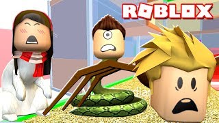 ROBLOX PET ESCAPE w Gamer Chad amp Dollastic Plays  MicroGuardian [upl. by Nashom]