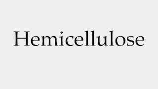 How to Pronounce Hemicellulose [upl. by Martinsen407]