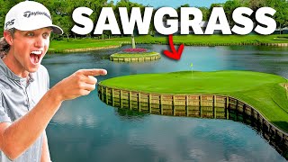 Can Grant Horvat Break 73 at TPC Sawgrass The Players [upl. by Aynot]