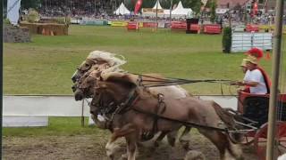 Titanen der Rennbahn in Brück 2017 Römerwagen Rennen [upl. by Jaddo]