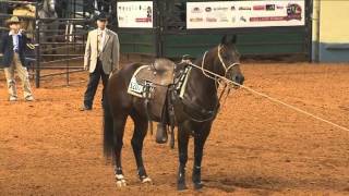 2012 AQHA World Championship Show Part 2 [upl. by Livvyy]