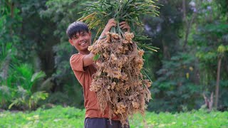 Story 141 Harvesting ginger in the mountain and made arrozcaldo to celebrate my brother’s birthday [upl. by Thorvald]