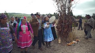 Los mapuches luchan por su lengua y su cultura [upl. by Koffler]