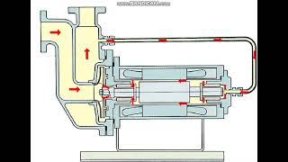 Canned Motor PumpSelfpriming Type [upl. by Idas]