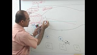 Inflammation  Vascular Events  Immunology  Dr Najeeb [upl. by Soneson]