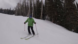 Learn to ski beginner mogul techniques [upl. by Trueblood905]