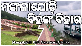 Mangalajodi Bird Sanctuary Chilika  Mangalajodi Eco Tourism Resort oyeodisha mangalajodi [upl. by Garrik]