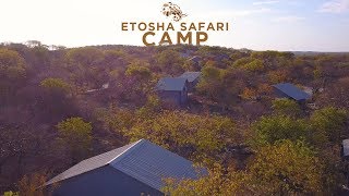 Classic Namibia  Etosha Safari Camp [upl. by Aliekahs813]