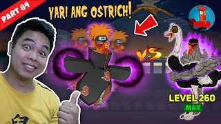 Akatchuki Nilabanan Ang Ostrich Natalo  Manok na Pula [upl. by Wiltz]