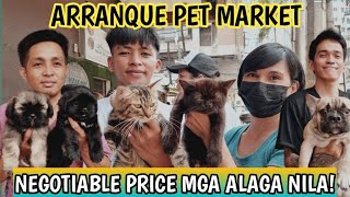 MGA BAGONG DATING ASO AT PUSA SA ARRANQUE PET MARKET TAWARAN NYO NA [upl. by Drawyeh698]