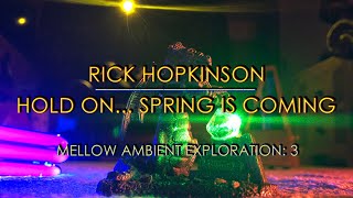 HOLD ON SPRING IS COMING  Mellow Ambient Exploration 3  Sleep Focus Relax amp Heal [upl. by Handler]