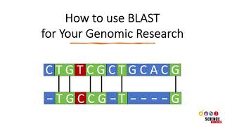 How to Use BLAST for Finding and Aligning DNA or Protein Sequences [upl. by Nalliuq354]