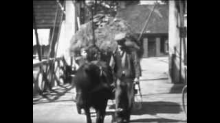 boerderijleven parrega 1953avi [upl. by Ellac]