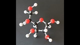 Carbohydrates Mono amp Disaccharide [upl. by Frodina]