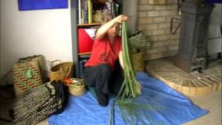 How to prepare harakeke NZ FlaxPhormium part 2 [upl. by Adliw129]