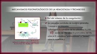 Fisiología de la hemostasia y la trombosis [upl. by Sumerlin]