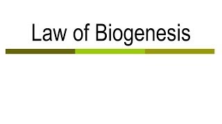 Law of Biogenesis [upl. by Elrak]