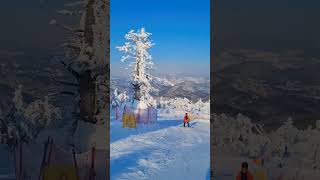 korea yongpyong 스키장 snowboarding mountains snow view [upl. by Gorman]