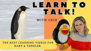 Learn to Talk I First Words amp Sentences I Baby Learning Speech Songs amp Sign Language with CeCe [upl. by Cissie]