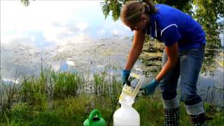 Emerged Aquatic Pond Weed Application [upl. by Sidky]