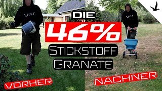 Rasendünger Harnstoff 46 Stickstoff🚩Rasenrettung nach der großen Dürre [upl. by Pleione617]