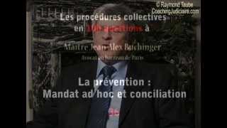 100 questions sur la prévention des difficultés des entreprises [upl. by Gide432]