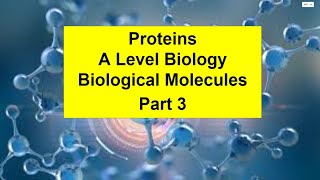 Part 3 Proteins Biological Molecules [upl. by Kazim]