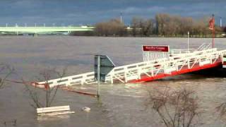 Hochwasser Köln 08012011 [upl. by Shanney318]