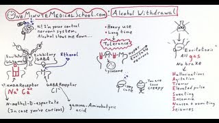 Alcohol Withdrawal Featuring Drunkbrain  One Minute Medical School [upl. by Aicrop]