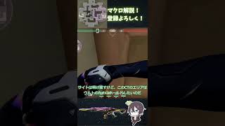 【新キャラ】【ヴァイス】アビスBの最強ウルトリテイクセットアップ紹介vct valorant valorant解説 ずんだもん ヴァロラント vtuber [upl. by Etteval]