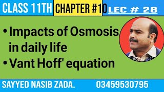 Impacts of Osmosis  Daily life examples  NASIBZADASSS [upl. by Leahcimluap740]