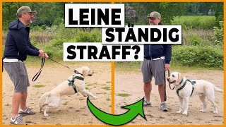 Hund an der Leine führen I So bleibt die Leine locker [upl. by Nennarb]