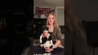 That little tantrum cat funnyanimals cats funny funnycats cute shorts viralvideo pets pet [upl. by King434]