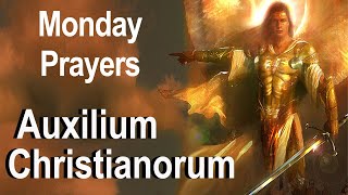 Auxilium Christianorum  Monday Deliverance Prayers for Use By the Laity  Fr Chad Ripperger Video [upl. by Reniti100]