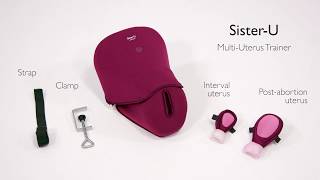 SisterU Multi Uterus Trainer [upl. by Odareg]